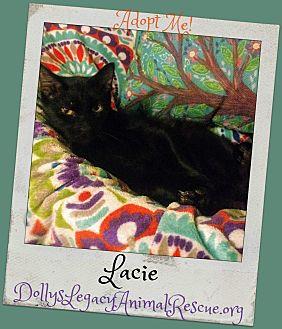 LACIE (19976629)