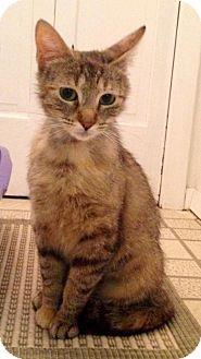 Lady (18295846)