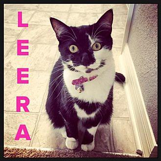 Leera (19110950)