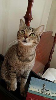 Leia (20125527)
