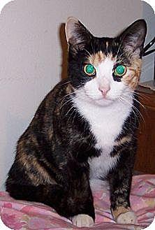 Leia*MISSING (9532121)