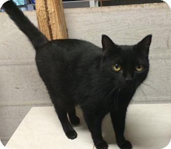 Lenny (18052498)