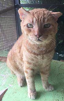 Leo (20175725)