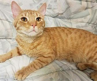 Leo (20423333)