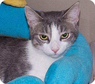 Libby (17900095)
