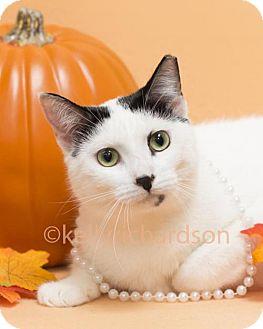 Lilly (13886133)