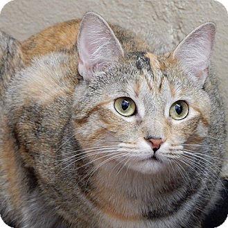 Lilly (15142684)