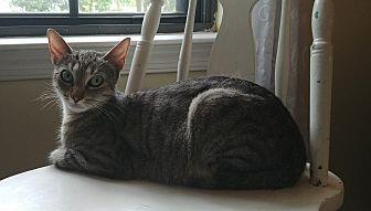 Lily (18976165)