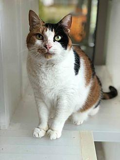 Lily (19749377)