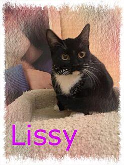 Lissy (19953153)