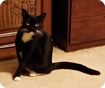 Little Momma (17014393)