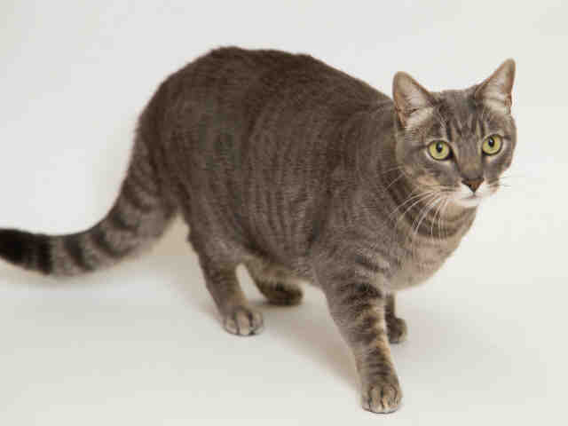 LITTLE ONE (A337722)