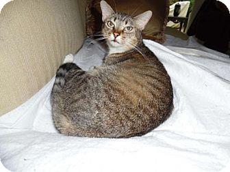 Lizzy (12276846)