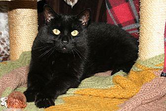 Locasta (20047565)