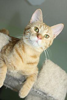 Lola (14457964)