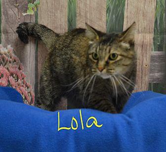 Lola (19804312)