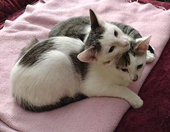 Lonny and Qu (19705481)