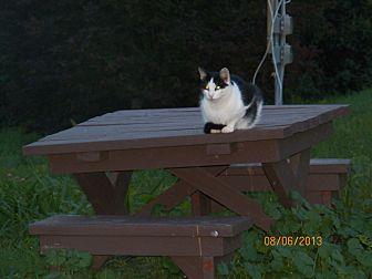 Louie (12363456)