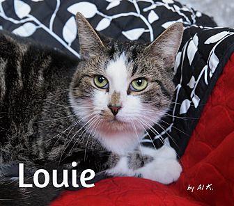 Louie (19467846)
