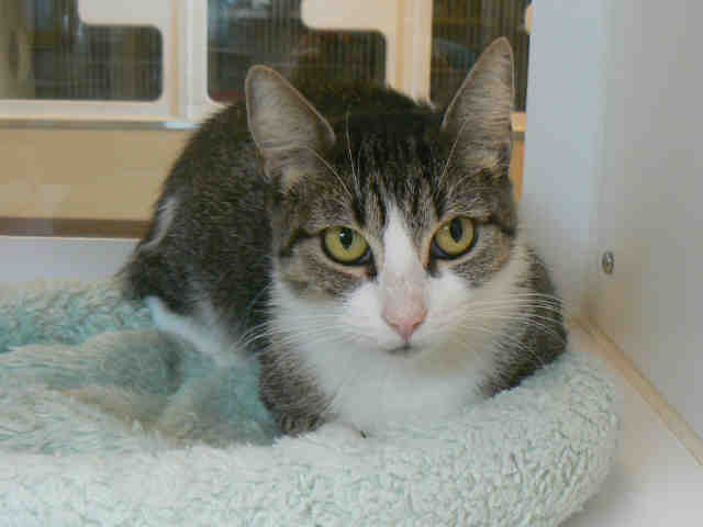 LOUISE (A008745)
