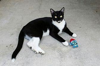 Lucky (12292732)