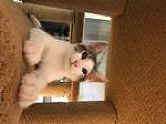 Lucky (20004078)