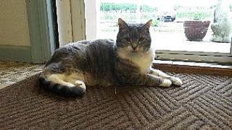 Lucy (16688698)