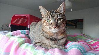 Lucy (17153507)