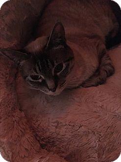 Lucy (17227397)
