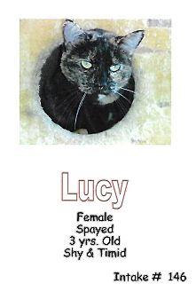Lucy (18457760)
