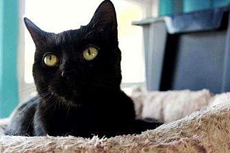 Lucy 2 (16964239)