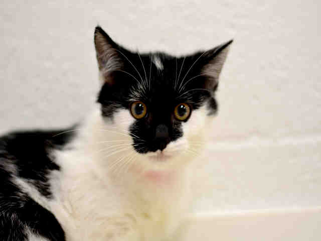 LUCY (A1936889)