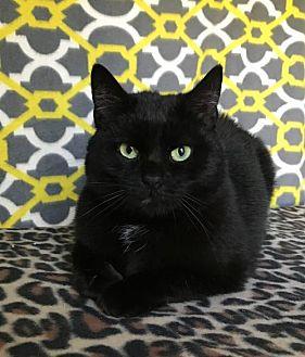 Lucy the Swe (20448386)