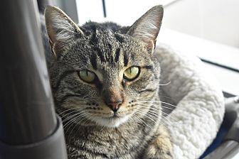 Lulu (20298001)