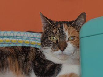 Luna (20010030)