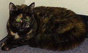 Luna (20063400)