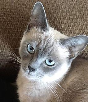 Luna (20145266)