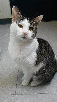 Mabel (16688701)