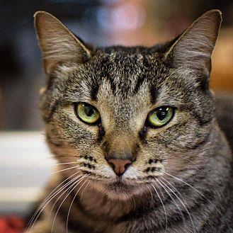 Maggie (18630989)