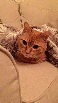 Maggie (20115414)
