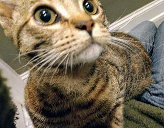 Maggie Mae (20200720)