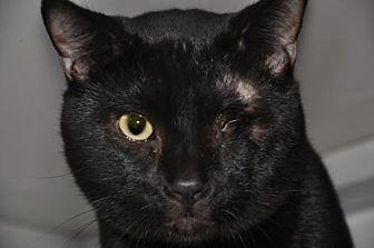 Marcel (20094432)