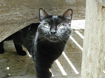 Marcy (15240089)