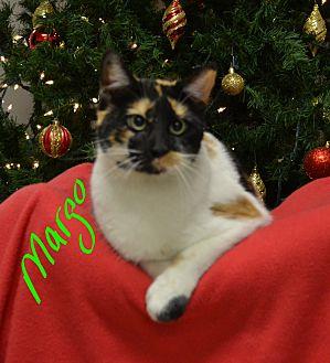 Margo (20330388)