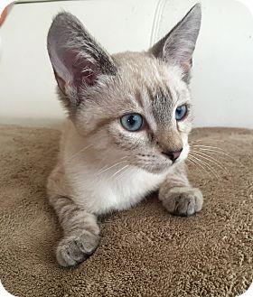 Margot (14488614)