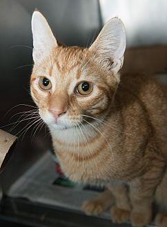 Marko (19968161)