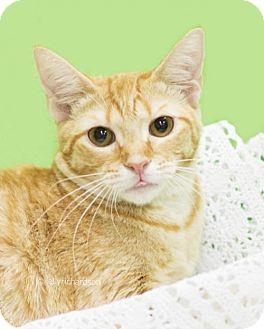 Marmalade (18465499)