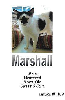 Marshall (20226399)
