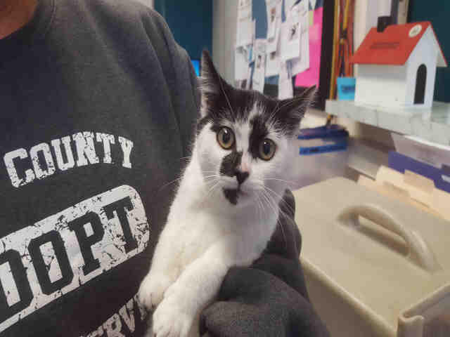 MARTHA (A097233)