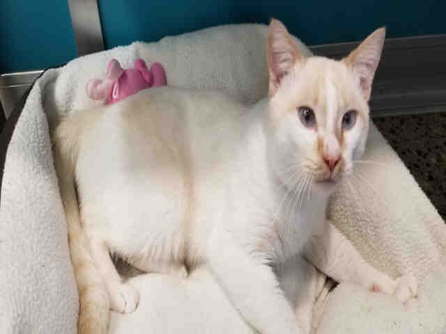 MARTIN (A178515)